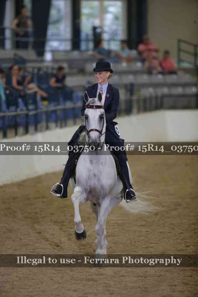 Proof Number 15R14_03750