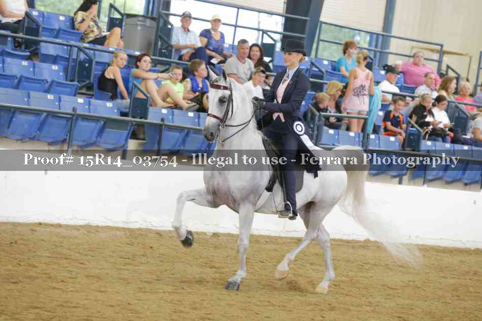 Proof Number 15R14_03754
