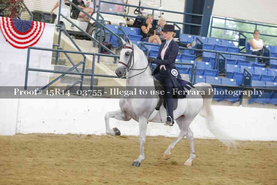 Proof Number 15R14_03755