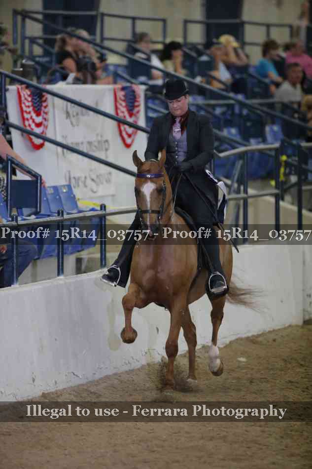 Proof Number 15R14_03757