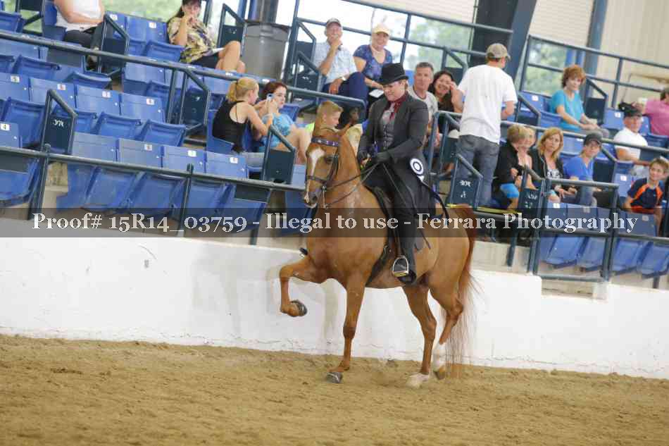 Proof Number 15R14_03759