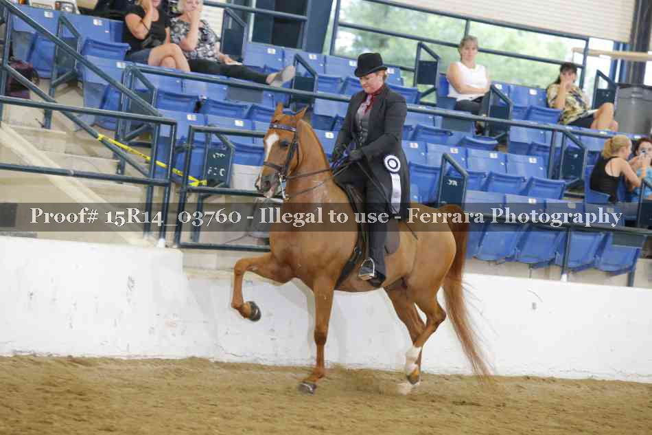 Proof Number 15R14_03760