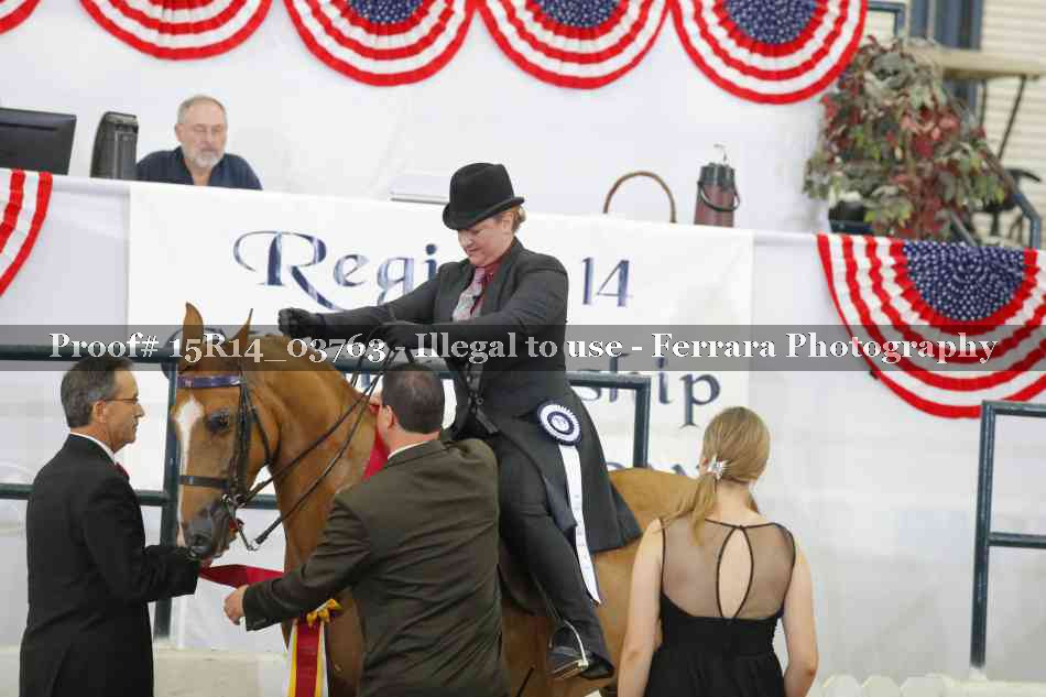 Proof Number 15R14_03763
