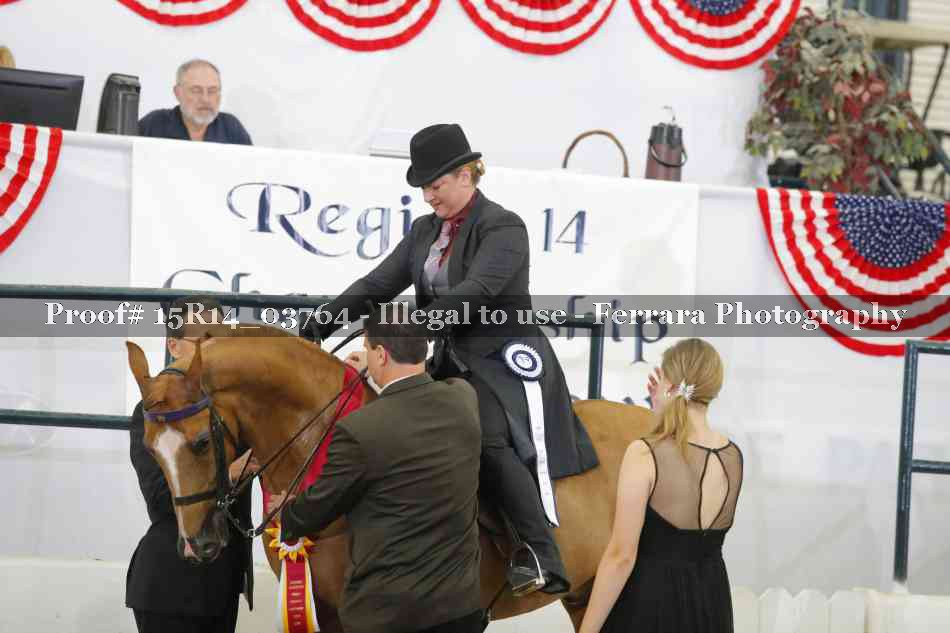 Proof Number 15R14_03764