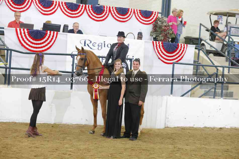Proof Number 15R14_03766