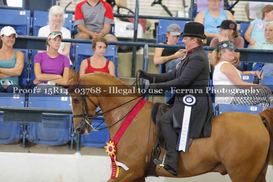 Proof Number 15R14_03768