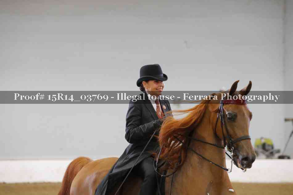 Proof Number 15R14_03769