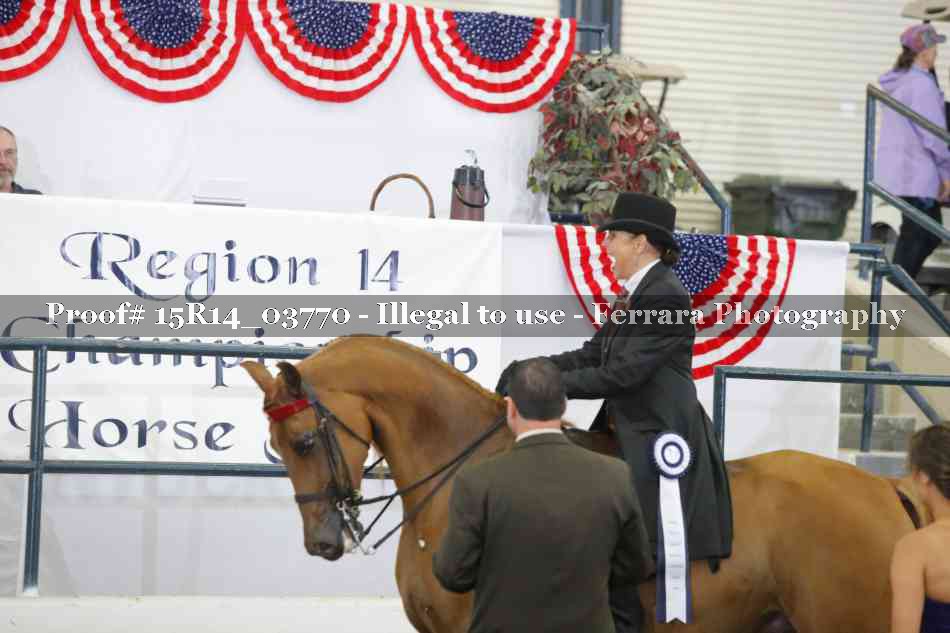 Proof Number 15R14_03770