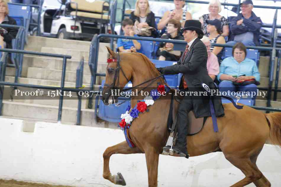 Proof Number 15R14_03771