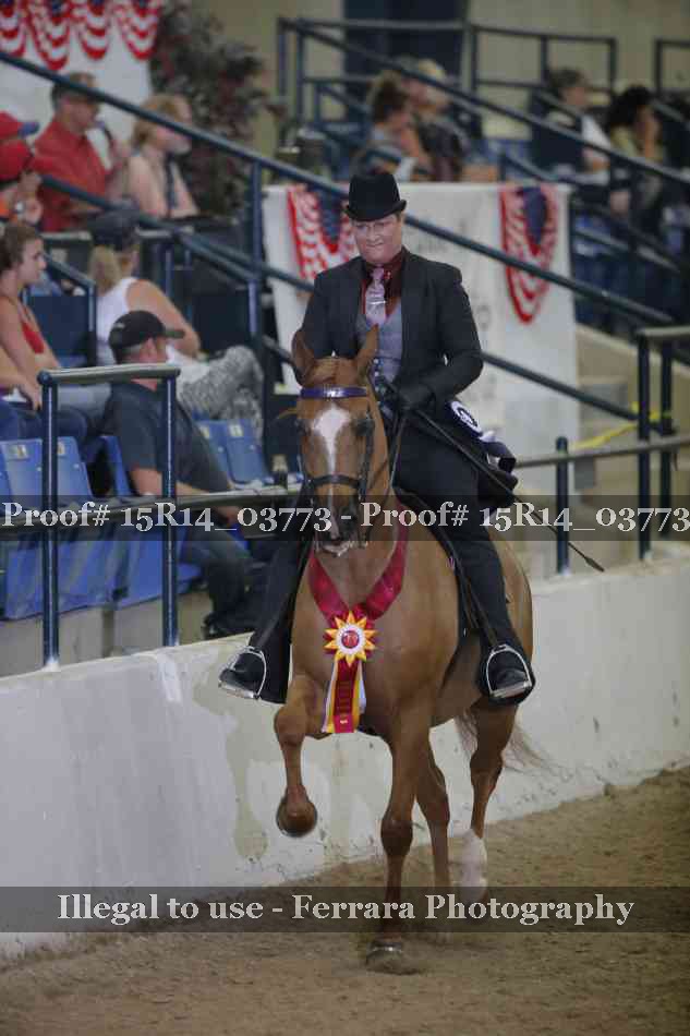 Proof Number 15R14_03773