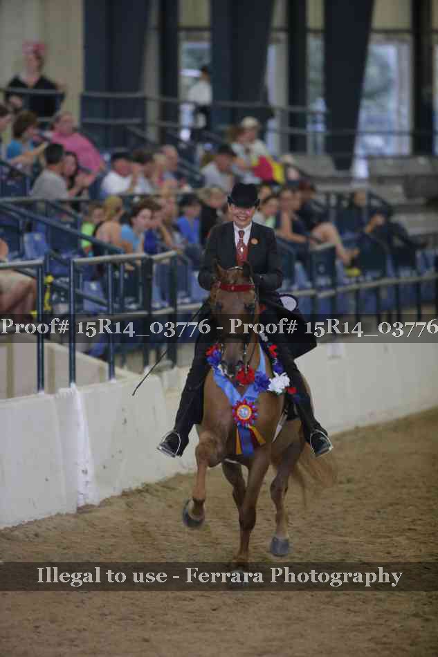 Proof Number 15R14_03776