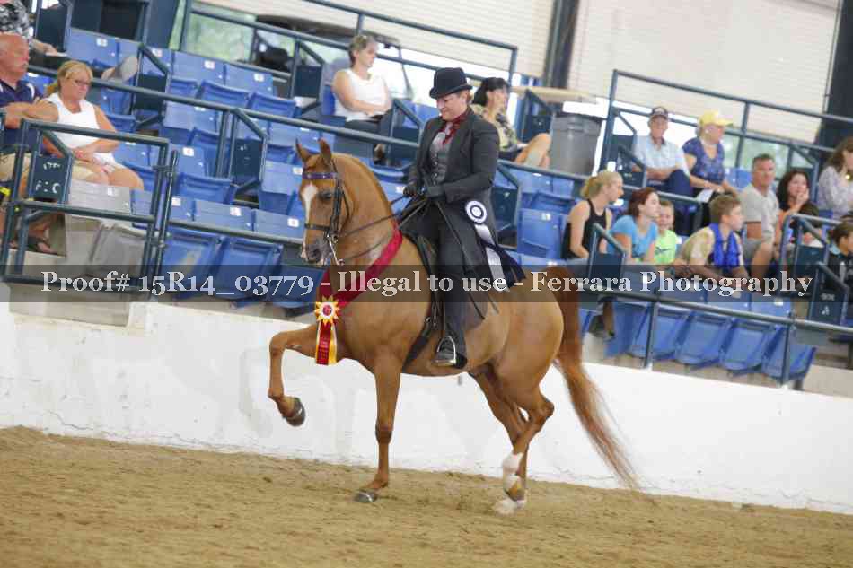 Proof Number 15R14_03779
