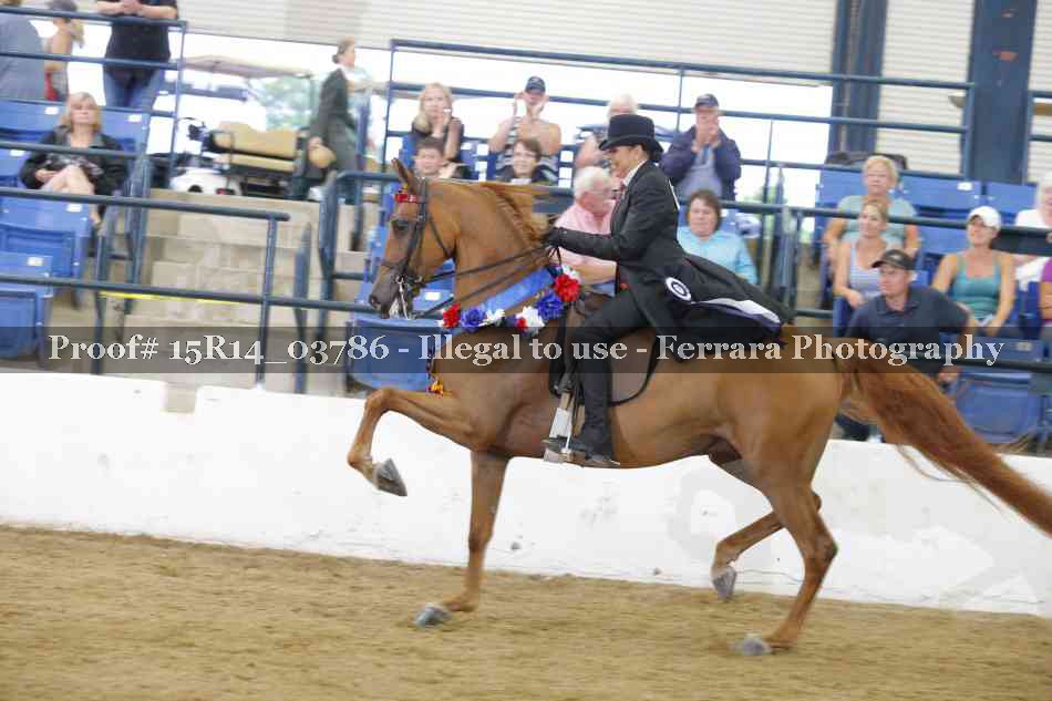 Proof Number 15R14_03786