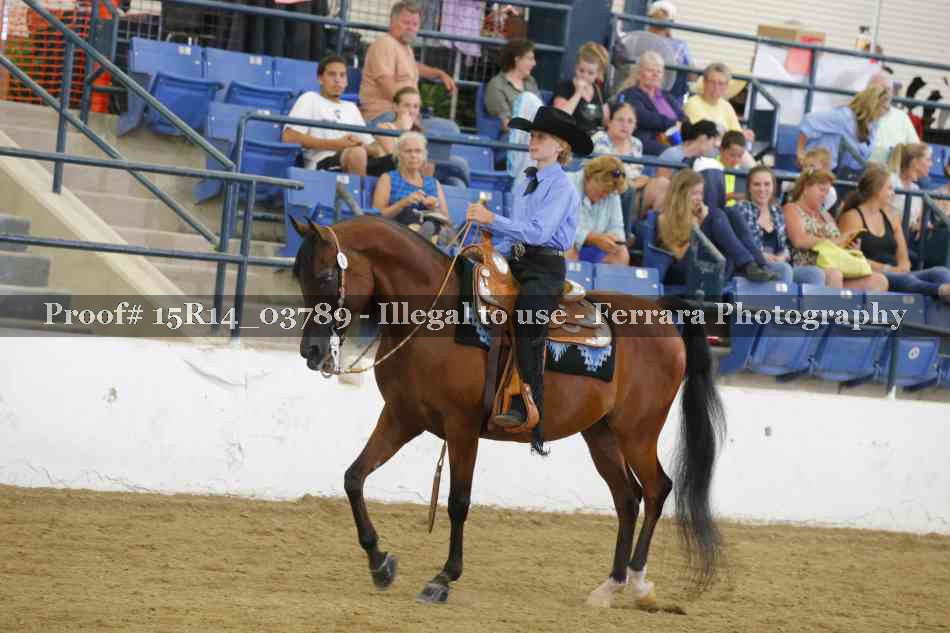 Proof Number 15R14_03789