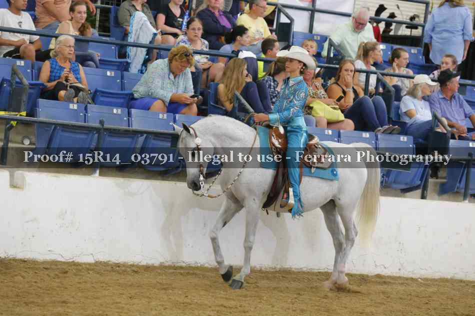 Proof Number 15R14_03791