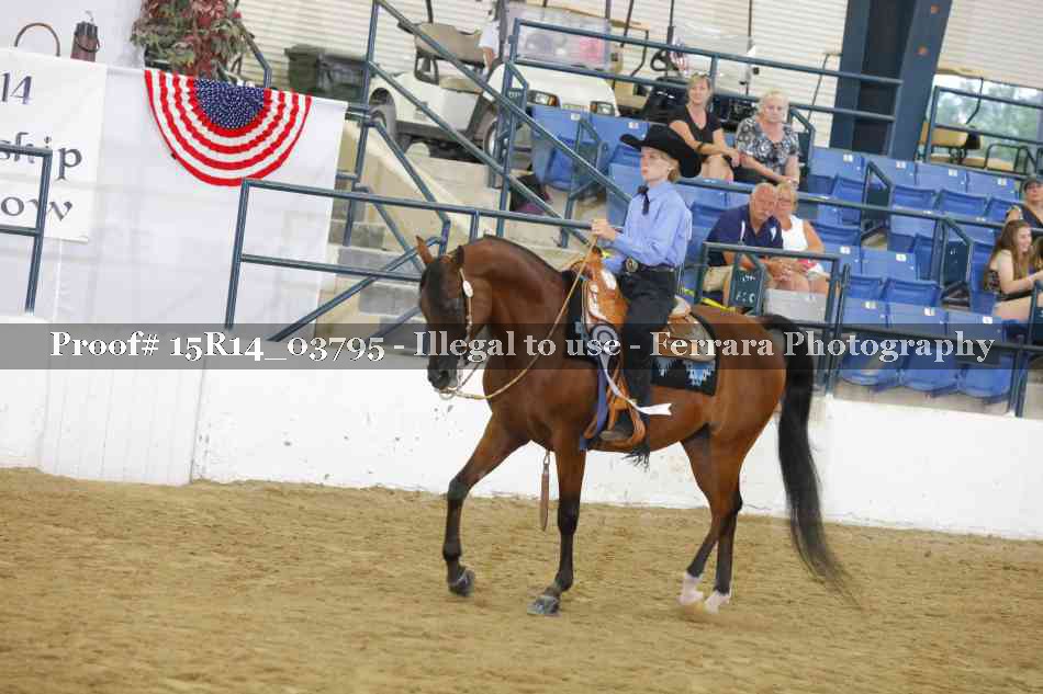 Proof Number 15R14_03795