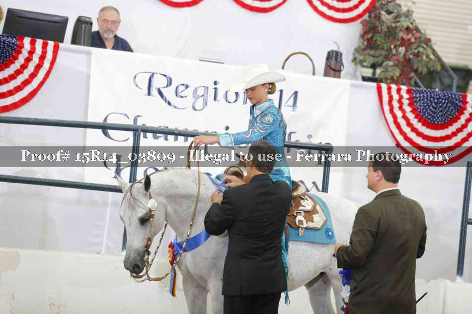 Proof Number 15R14_03809