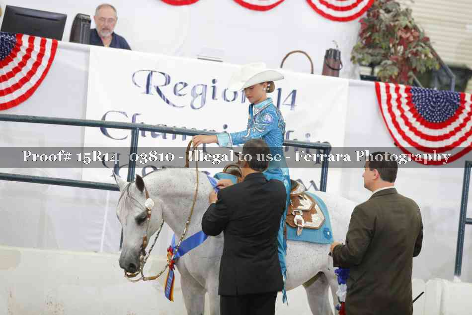 Proof Number 15R14_03810