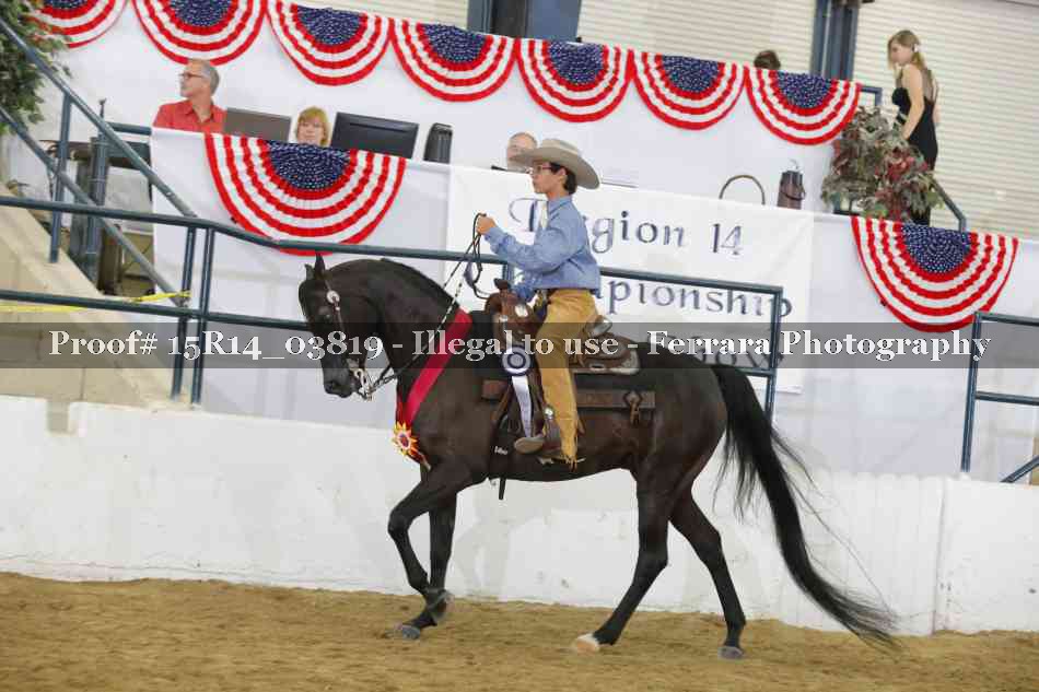 Proof Number 15R14_03819