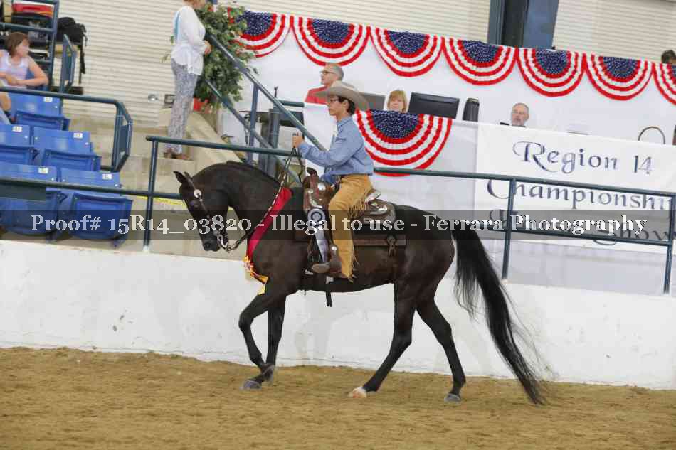 Proof Number 15R14_03820