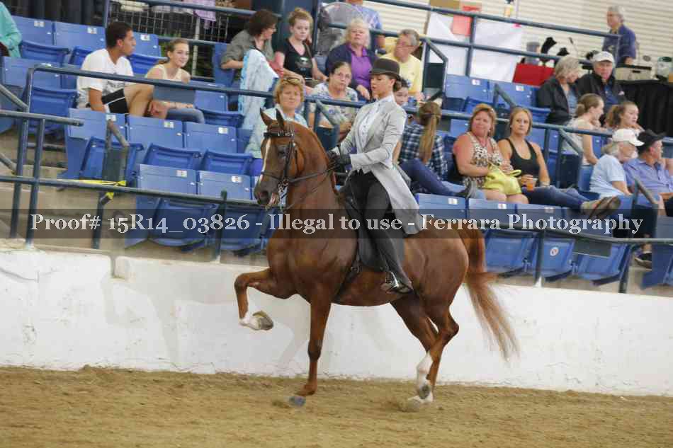 Proof Number 15R14_03826