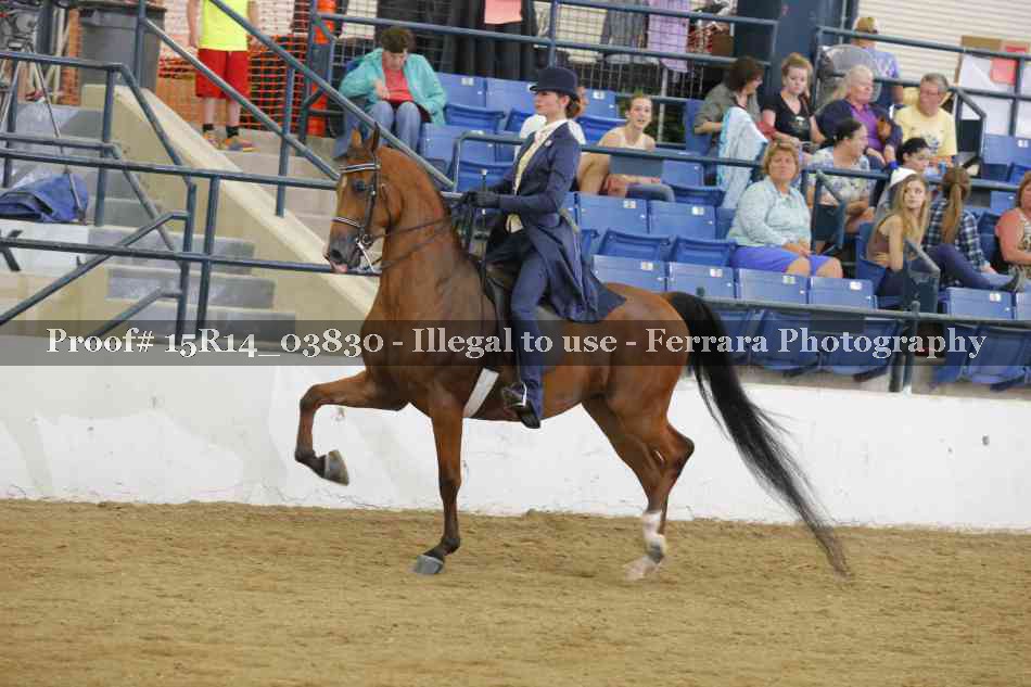 Proof Number 15R14_03830