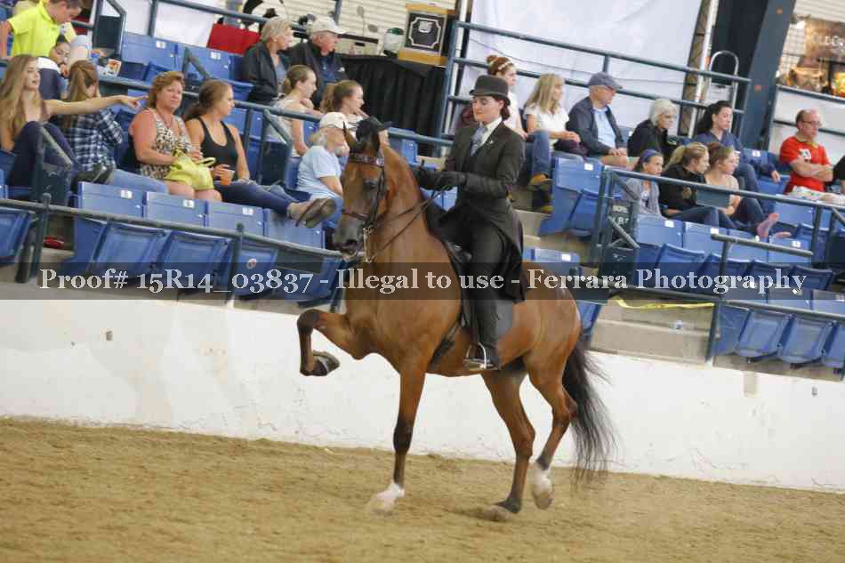 Proof Number 15R14_03837