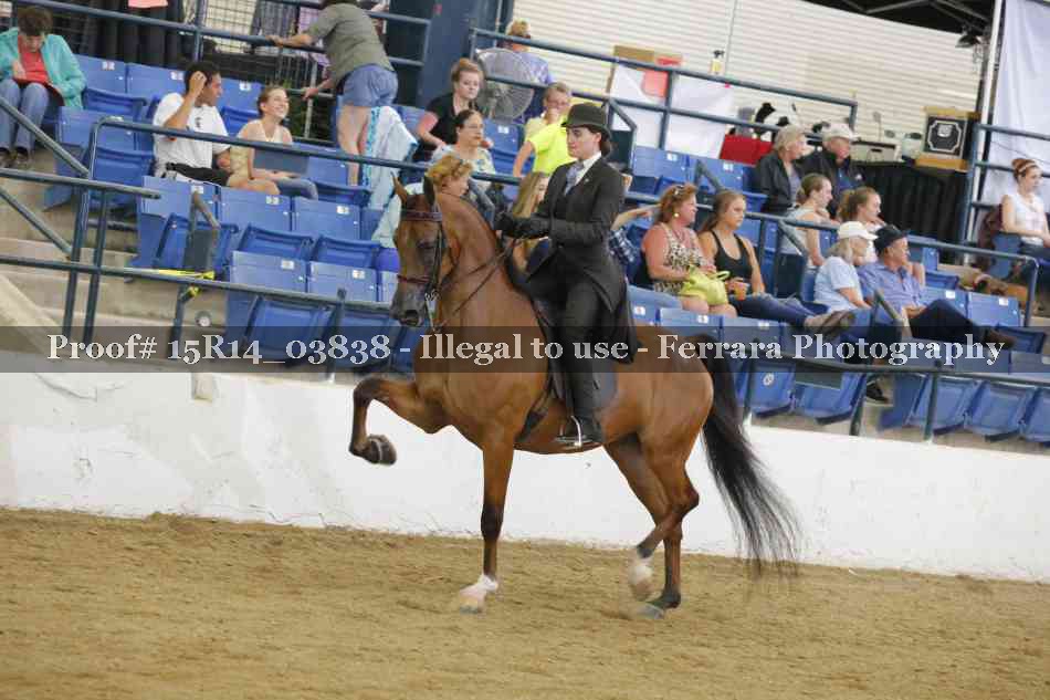 Proof Number 15R14_03838