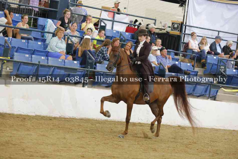 Proof Number 15R14_03845