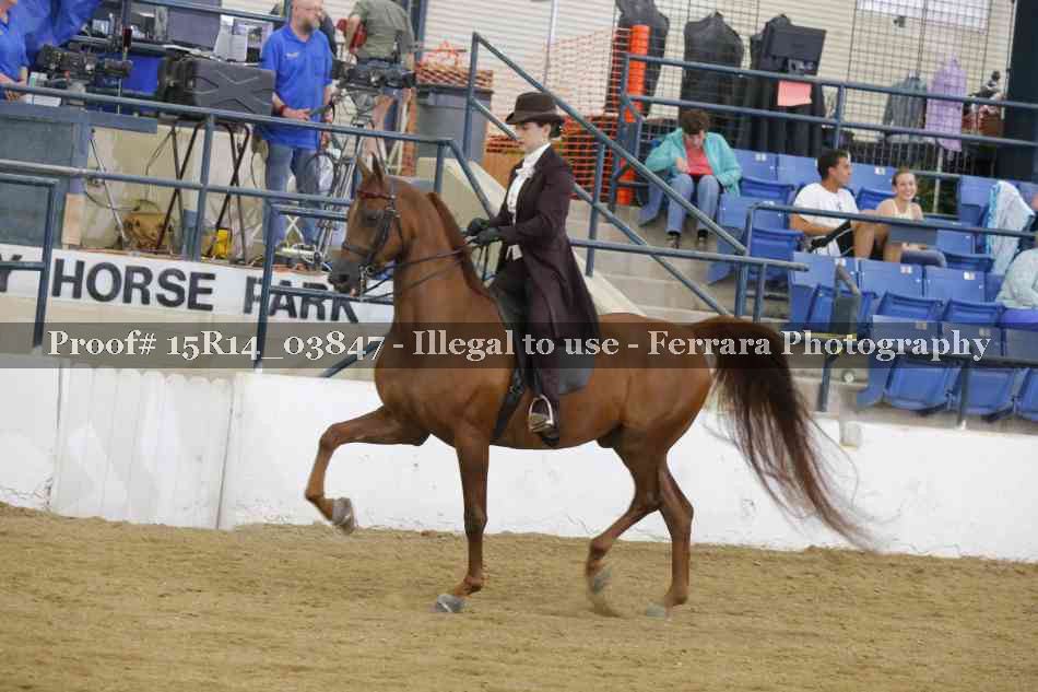 Proof Number 15R14_03847