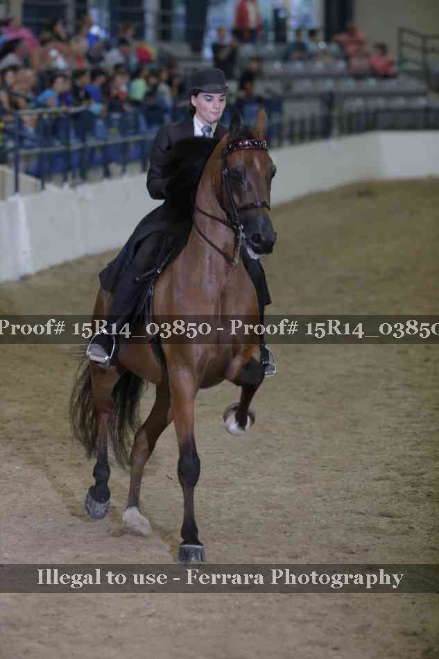 Proof Number 15R14_03850