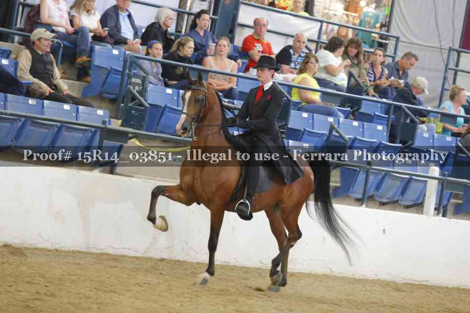 Proof Number 15R14_03851