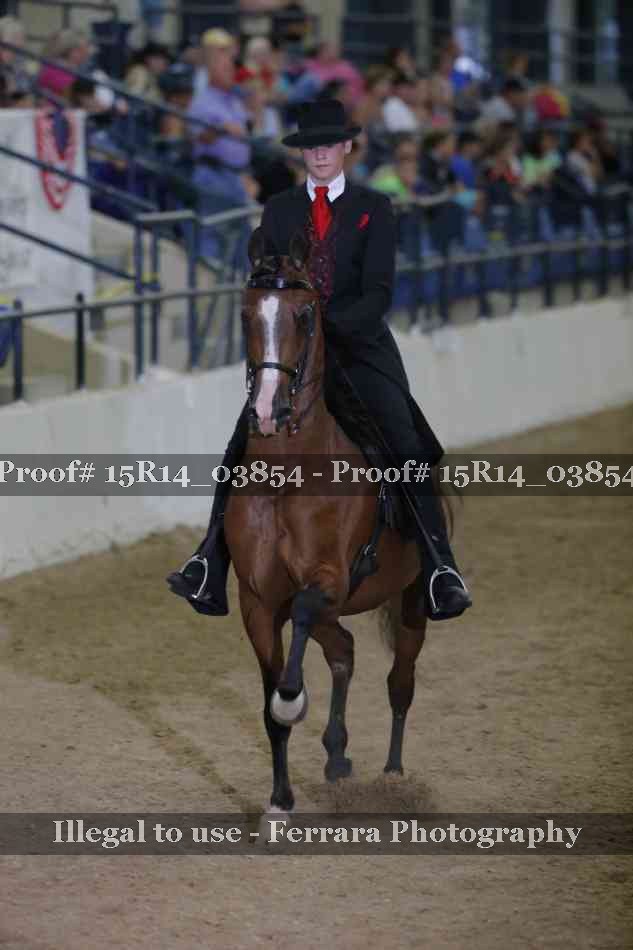Proof Number 15R14_03854