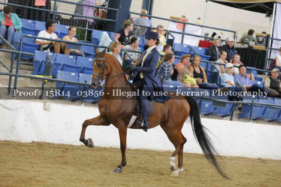 Proof Number 15R14_03856