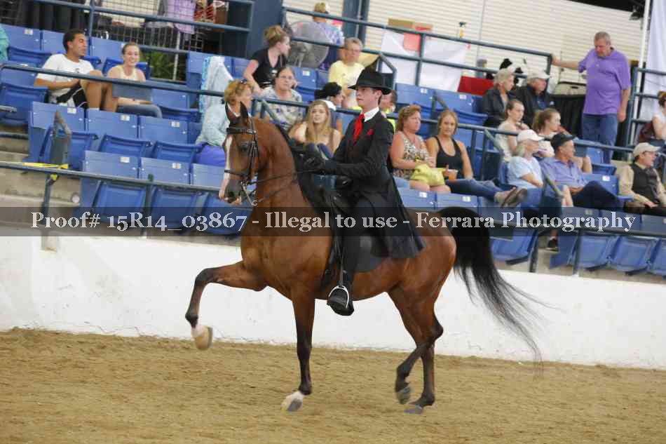 Proof Number 15R14_03867