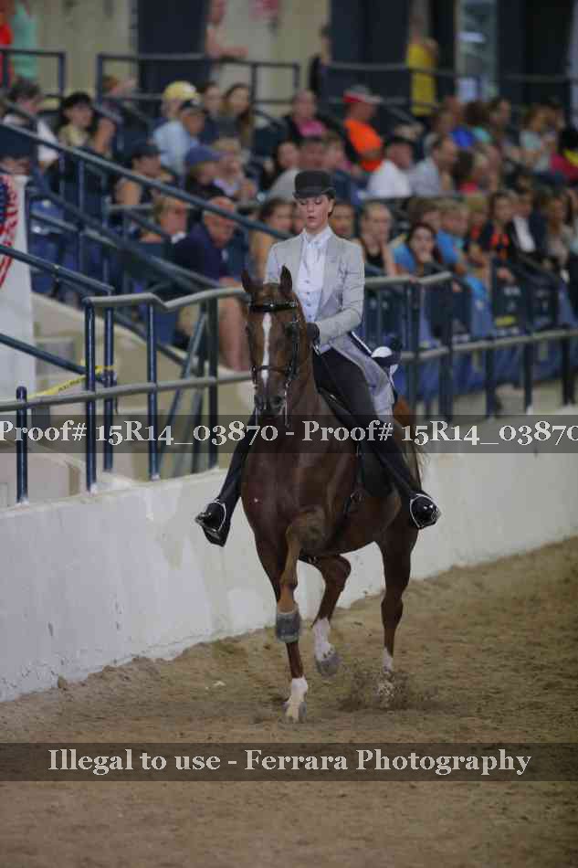 Proof Number 15R14_03870