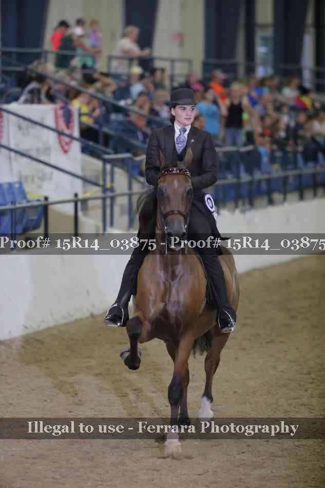 Proof Number 15R14_03875