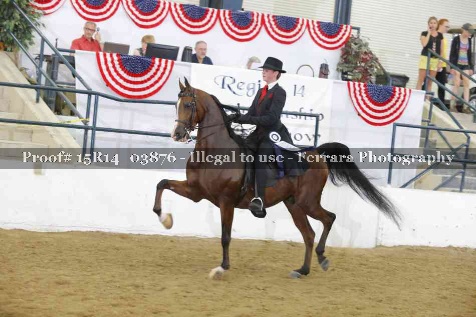 Proof Number 15R14_03876