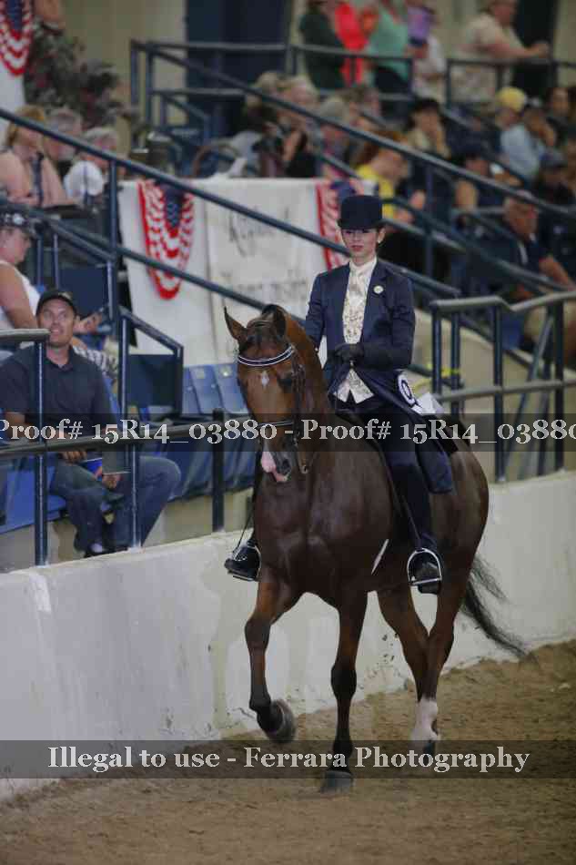 Proof Number 15R14_03880