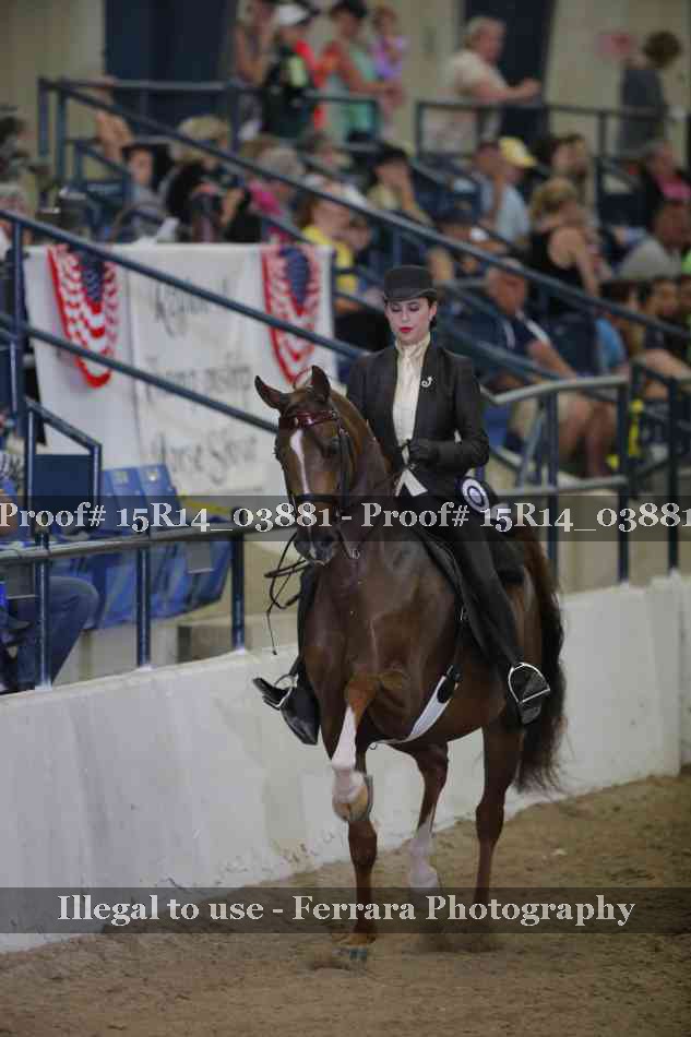 Proof Number 15R14_03881