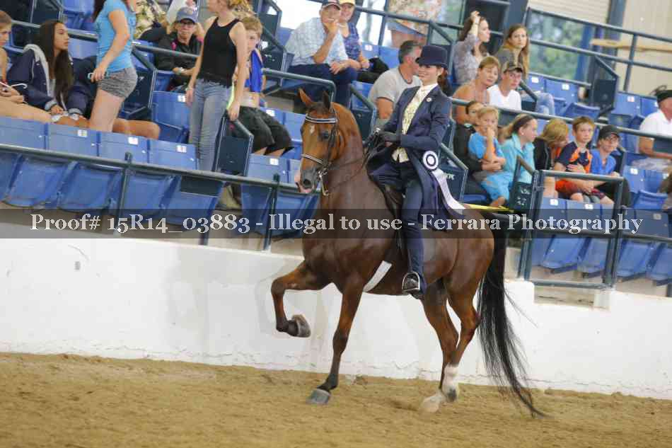 Proof Number 15R14_03883