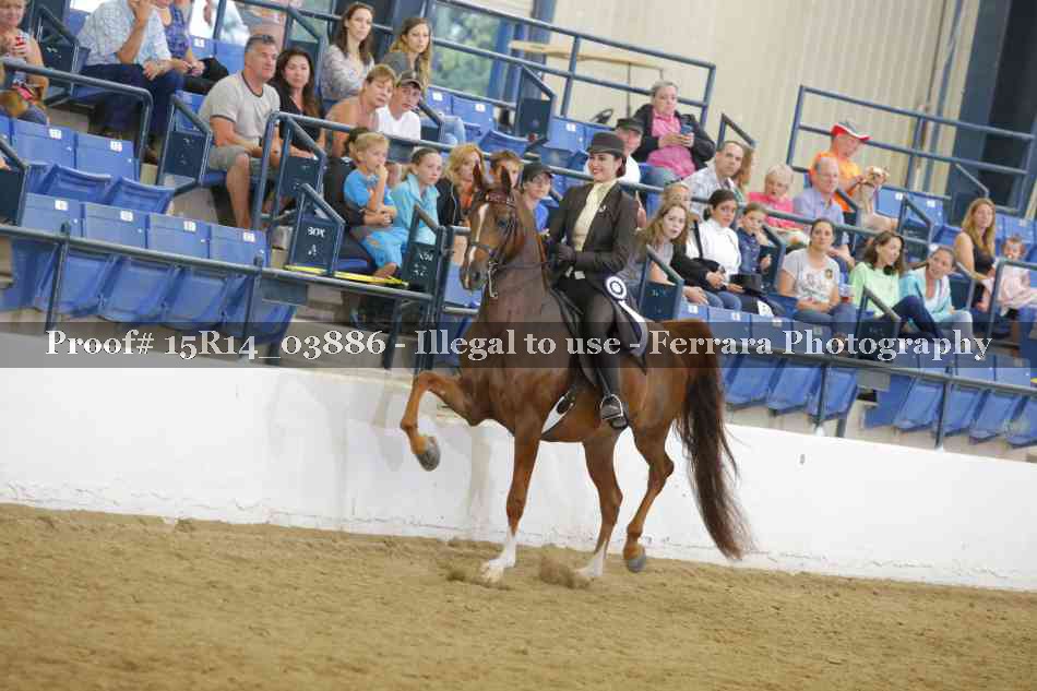 Proof Number 15R14_03886