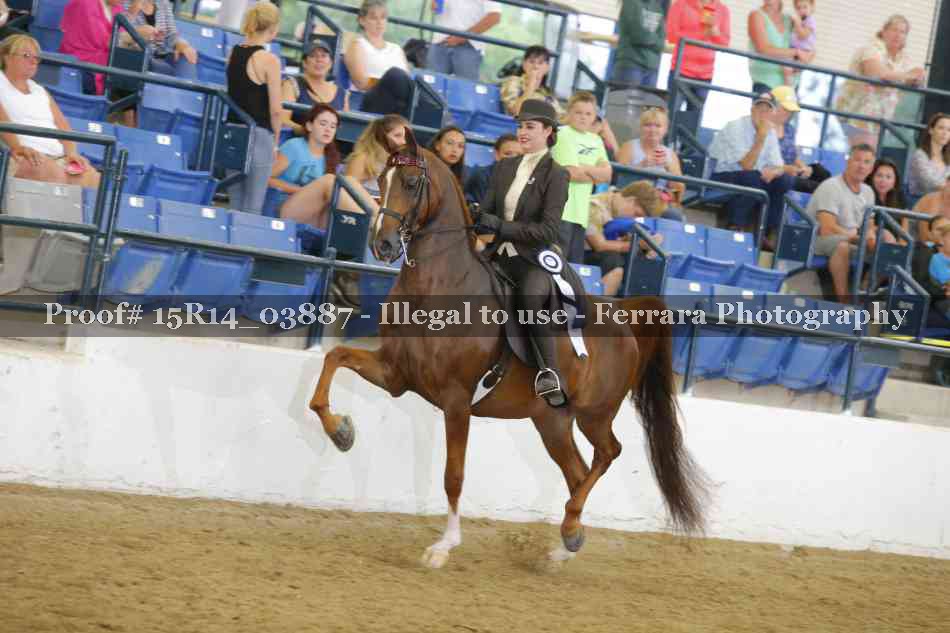 Proof Number 15R14_03887