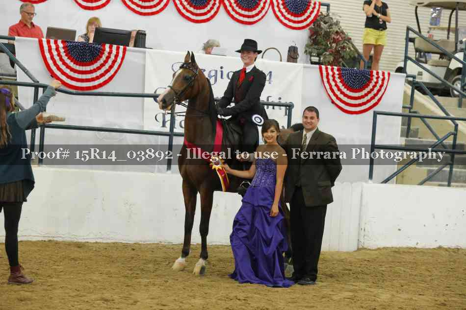 Proof Number 15R14_03892