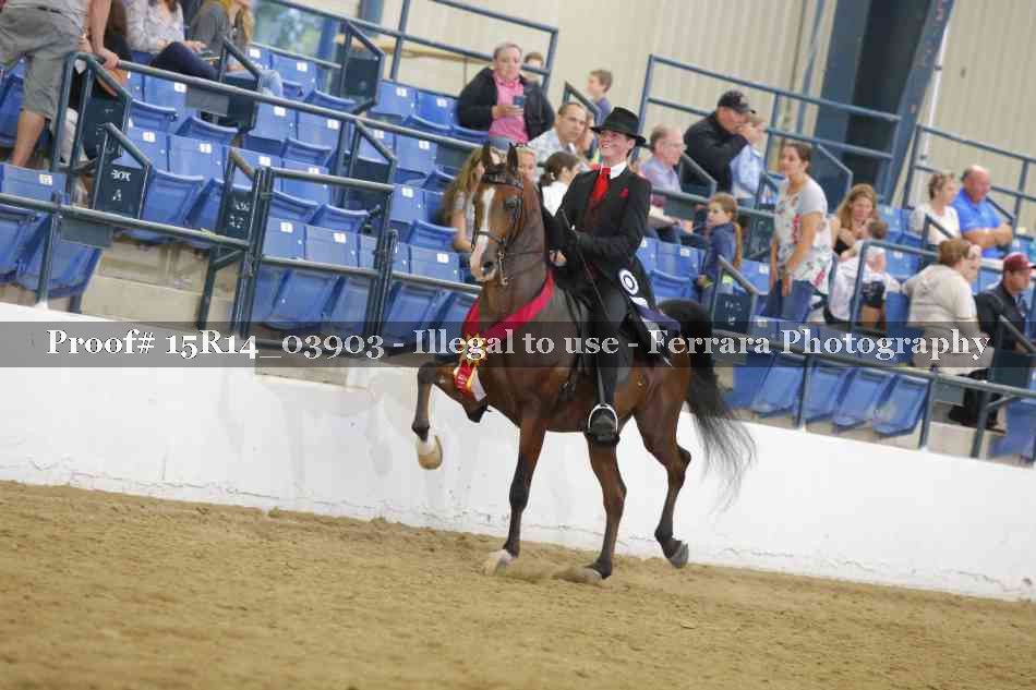 Proof Number 15R14_03903