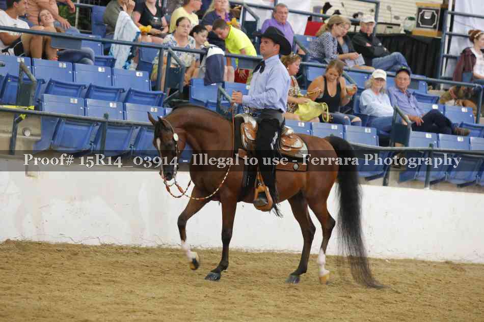 Proof Number 15R14_03914