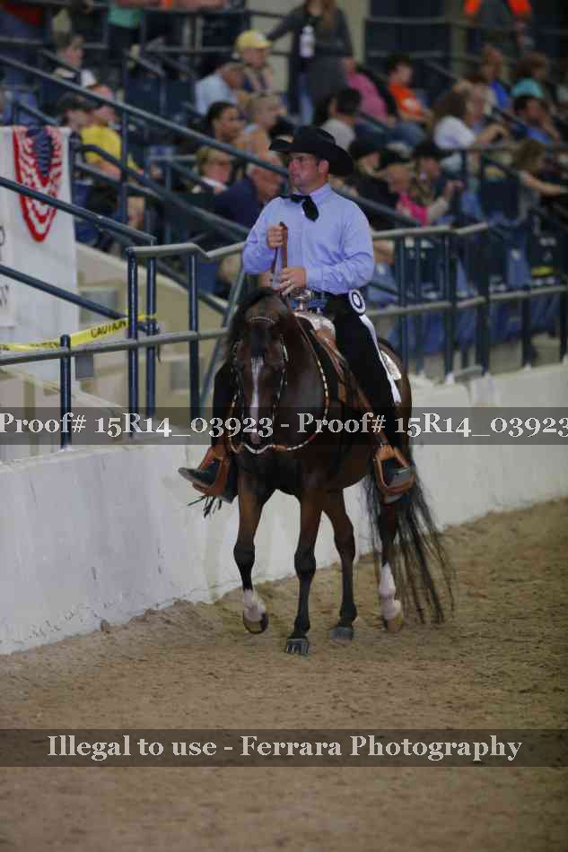 Proof Number 15R14_03923