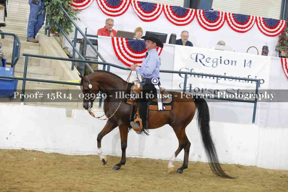Proof Number 15R14_03929