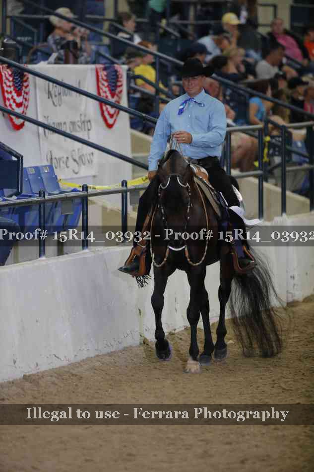Proof Number 15R14_03932