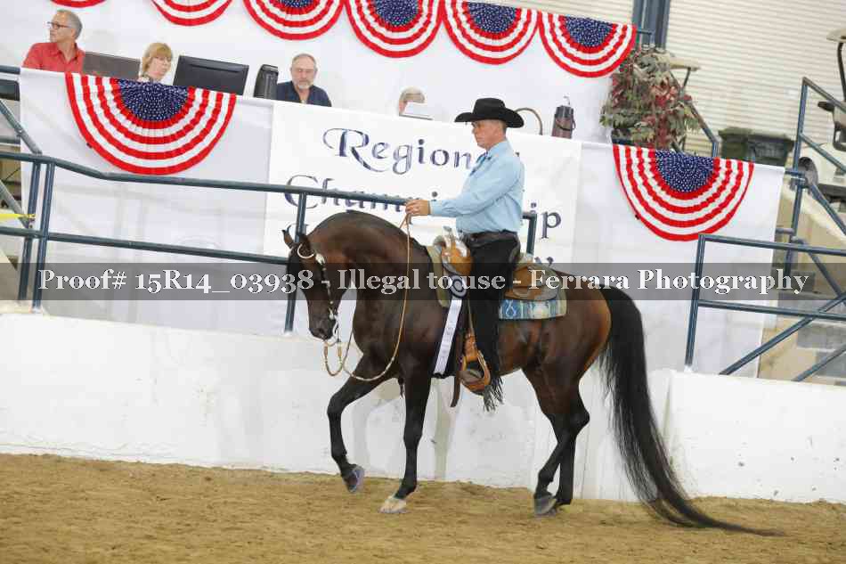 Proof Number 15R14_03938